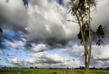 热门赛事直播在哪看回放,怎么看赛事回放