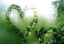 篮球直播平台免费直播在线观看下载,篮球直播高清免费